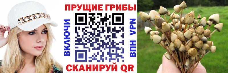 Псилоцибиновые грибы Magic Shrooms  Болгар 